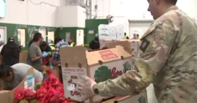 US Supreme Court lets Trump withhold $4 bln in food aid for now