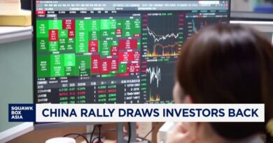 Chinese stocks are on fire this year, drawing big interest from foreign and domestic investors