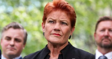 Australia news LIVE: IS brides would go to jail in Australia to get children out of Syria; Pauline Hanson calls for referendum to avoid hate speech laws