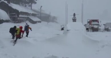 Eight skiers found dead after US avalanche