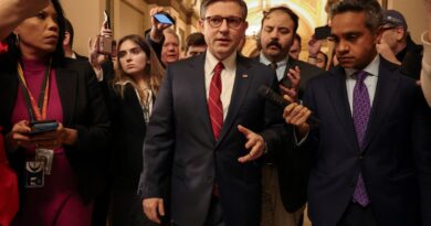 GOP anxiety over Trump tariffs tests House Speaker Johnson in upcoming vote