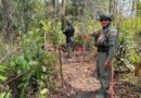 Reports of 6 newly laid mines near Cambodia Reports of 6 newly laid mines near Cambodia