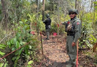 Reports of 6 newly laid mines near Cambodia Reports of 6 newly laid mines near Cambodia