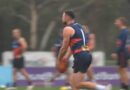 AFL star May retires suddenly AFL star May retires suddenly