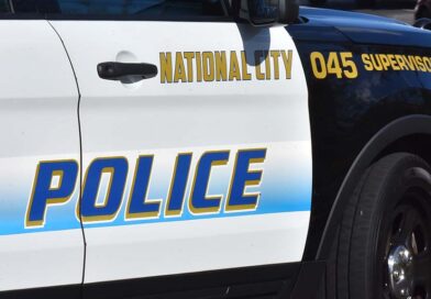 At least 3 stabbed at National City gathering