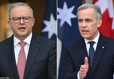 Carney pitches coalition of 'middle powers' to Albanese Carney pitches coalition of 'middle powers' to Albanese