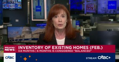 February home sales see small rebound, but supply growth is ‘sluggish’