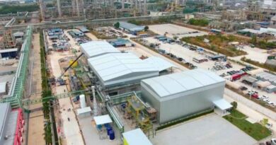 Oil shortage hits petrochemical output Oil shortage hits petrochemical output