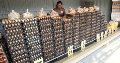 Thais demand government action on living costs