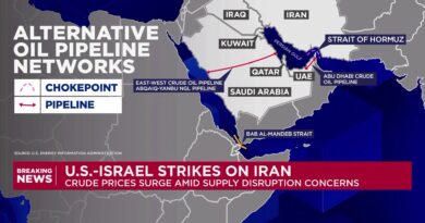 The Strait of Hormuz crisis explained: What it means for global shipping The Strait of Hormuz crisis explained: What it means for global shipping