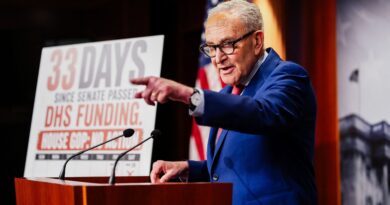 DHS shutdown: Congressional dysfunction imperils pay for TSA, Secret Service