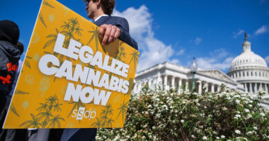 How Trump’s psychedelics executive order could unlock stalled cannabis reform