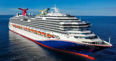 Man missing from Carnival cruise ship en route to Sydney