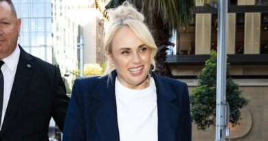 Rebel Wilson denies orchestrating hack exposing actor’s nude photo
