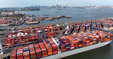 Trump tariff fallout: Some industries grapple with lingering effects one year later