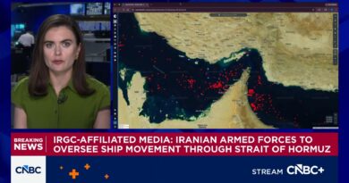 U.S. struck, seized Iranian-flagged ship Touska in Gulf of Oman, Trump says