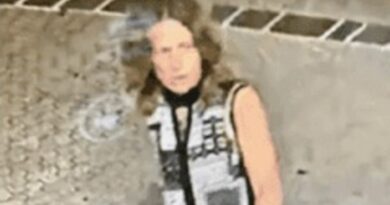 Woman missing in Brisbane River as fatal incidents mar start of Easter