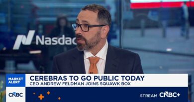 Cerebras stock falls 10% in first full day of trading after blockbuster debut