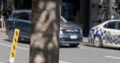 TikTok to the dock: BMX stunt at Scientology speedrun leads to court