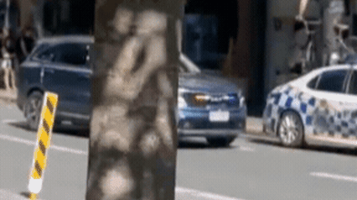 TikTok to the dock: BMX stunt at Scientology speedrun leads to court