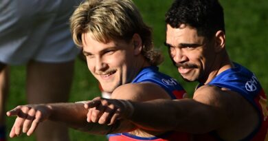Ashcroft’s miracle goal turns match against Richmond; AFL urged to crack down on ump-bashing