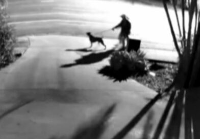 Couple rushed to hospital after dog attack