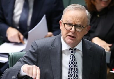 Greens claw back Butler’s NDIS powers as price for passing negative gearing, CGT overhaul