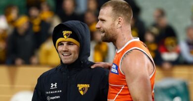 Hawks to replace ‘the Wizard’ with ex-Melbourne Storm recruit