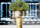 Local sustainable bond issuance exceeds B1.1tn