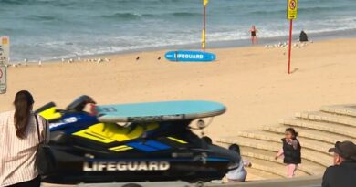 Mother and teacher named as shark attack victim Mother and teacher named as shark attack victim