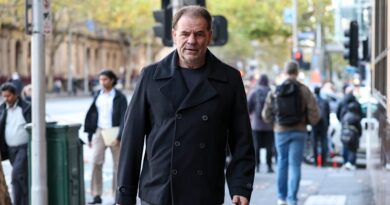 Setka has received death threats, court told