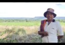Thap Lan land disputes linger