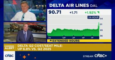 Delta expects higher airfare to last, bringing 2026 profit goal in reach, CEO says Delta expects higher airfare to last, bringing 2026 profit goal in reach, CEO says