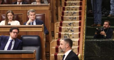Feijóo anuncia una “ley nacional del concebido no nacido” como la de Ayuso si gobierna