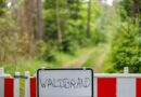 Mit Feuerwerk?: Waldbrand bei Oppenau – Polizei verdächtigt Jugendliche