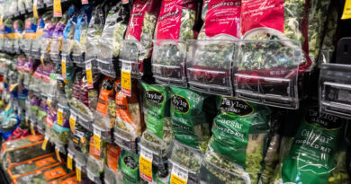 Taylor Farms recalls iceberg lettuce in 27 states due to cyclosporiasis outbreak Taylor Farms recalls iceberg lettuce in 27 states due to cyclosporiasis outbreak