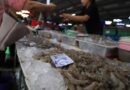 What’s on tap for the Thai shrimp industry? What’s on tap for the Thai shrimp industry?