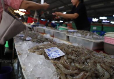 What’s on tap for the Thai shrimp industry? What’s on tap for the Thai shrimp industry?