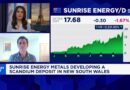 Australian rare earth miner surges after U.S. Department of War investment