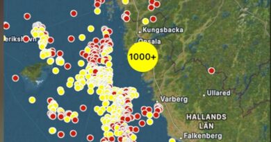 Bekräftat: Misstänkte medhjälparen utreds för egna mordplaner