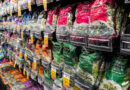 Cyclospora fears lead consumers to lose their appetite for salads Cyclospora fears lead consumers to lose their appetite for salads