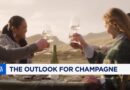 Extreme heat spurs earliest-ever Champagne harvest, putting its famous taste to the test Extreme heat spurs earliest-ever Champagne harvest, putting its famous taste to the test