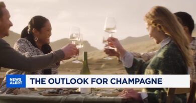 Extreme heat spurs earliest-ever Champagne harvest, putting its famous taste to the test