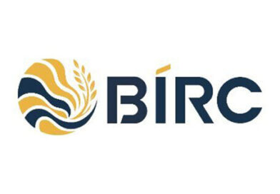 Indian rice draws global interest as 3,317 buyers from 138 countries register for BIRC 2026: IREF