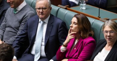 Labor backs down on late change to get news scheme across the line