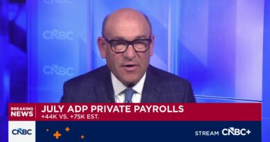 Private companies added just 44,000 workers in July, below expectations, ADP reports