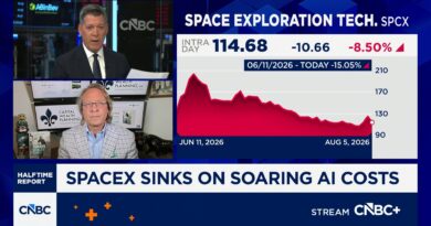 SpaceX stock could face further pressure as first batch of shares unlock since IPO SpaceX stock could face further pressure as first batch of shares unlock since IPO