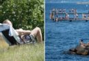 Veckans sista solchans – sedan kommer vändningen