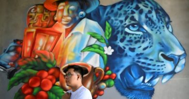 Winning back walls from gangs, artists fill El Salvador’s towns with colour Winning back walls from gangs, artists fill El Salvador’s towns with colour