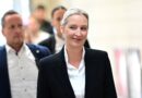 AFD får 37 procent i delstatsvalet